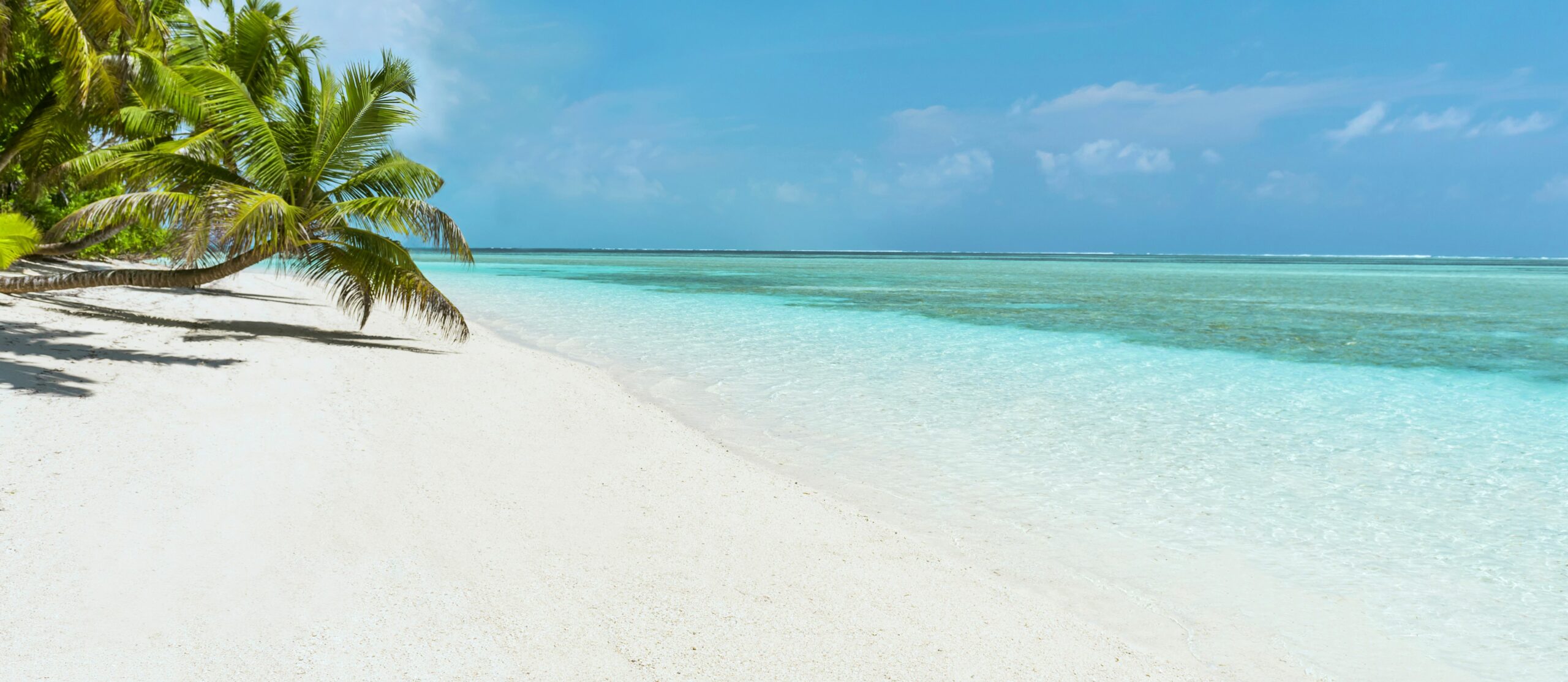 Plage de sable blanc et lagon turquoise aux Seychelles