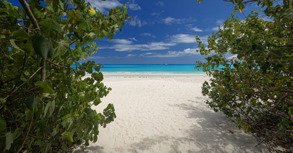 Legal Notice Petal Evasion 