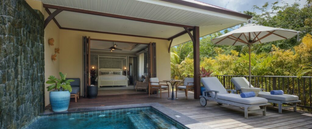 Garden Pool - La Cigale